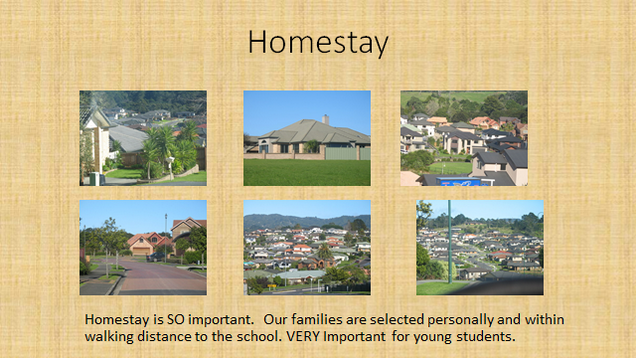 Home stay graphic